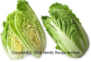Chinese cabbage