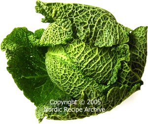 Savoy cabbage