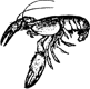 Crayfish