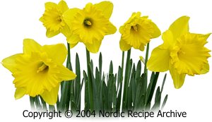 Daffodils