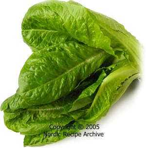 Romaine lettuce