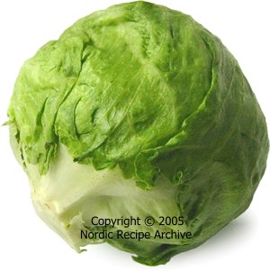 Iceberg lettuce