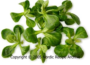 Lamb's lettuce