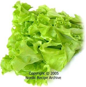 Leaf lettuce