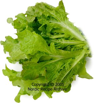 Oak leaf lettuce