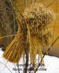 Sheaf of oats for birds