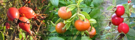 Rose-hips